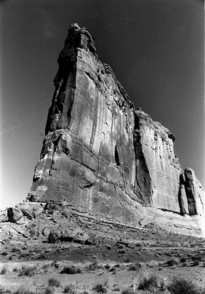 Utah Shrubs & Pinnacle Black & White 35mm Film